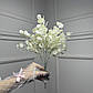 Букет евкаліпту білий | В – 35 см | виробництво Польщі |5 шт. в упаковці, фото 2