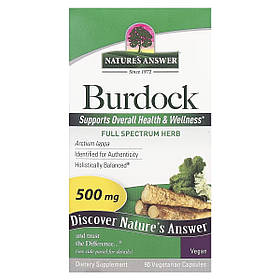 Лопух, 500 мг, Burdock, Nature's Answer, 90 вегетаріанських капсул