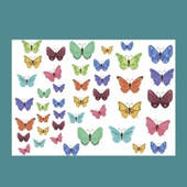 Картинки Метелики