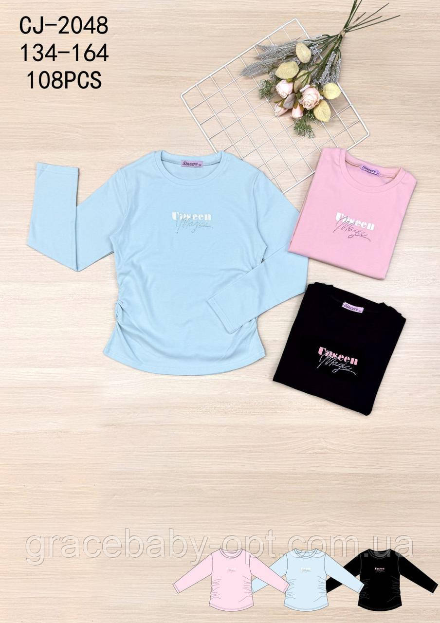 Реглан для дівчаток оптом, Sincere, 134-164 см,  № CJ-2048, фото 1