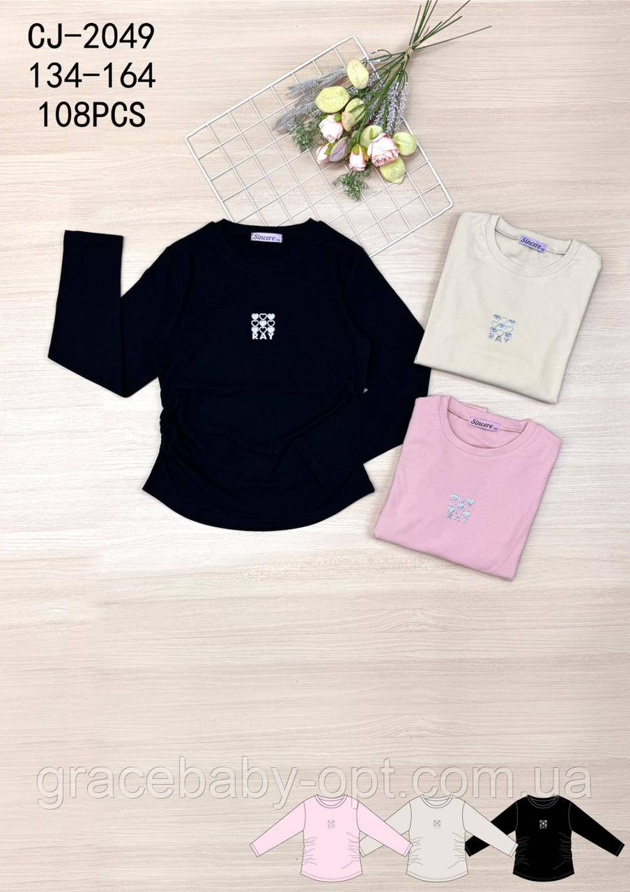 Реглан для дівчаток оптом, Sincere, 134-164 см,  № CJ-2049, фото 1