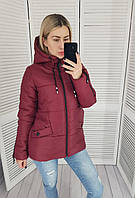 Куртка 416 вишня