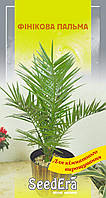 Фінікова пальма 2 шт. SeedЕra (кімнат.)