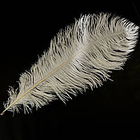 Біле перо страусине, розмір 40-45 см *1 шт. (широке)