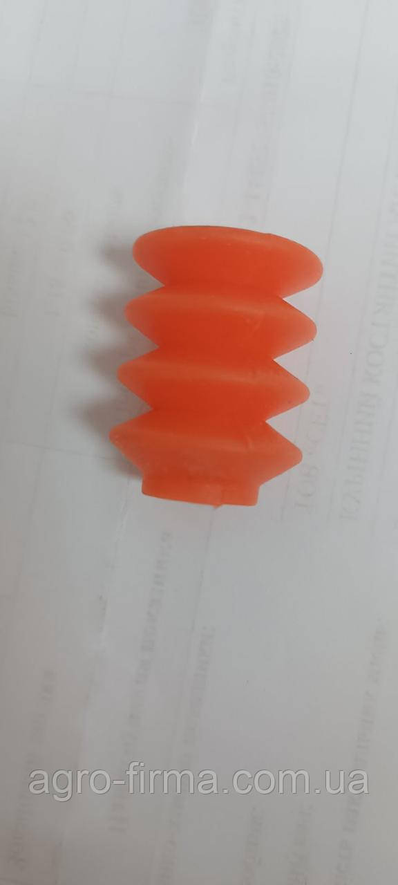 Міх дуовака помаранчевий, фото 1