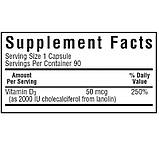 Вiтамiн D3 2000IU, Bluebonnet Nutrition, 180 вегетаріанських капсул, фото 3