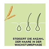 Priorin Intense Bayer 270 штук Німеччина Пріорин/ вітаміни для волосся, живлення для коренів, фото 8