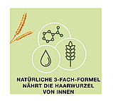 Priorin Intense Bayer 270 штук Німеччина Пріорин/ вітаміни для волосся, живлення для коренів, фото 9