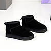 Чорні низькі уггі натуральна замша зимова класика, фото 4