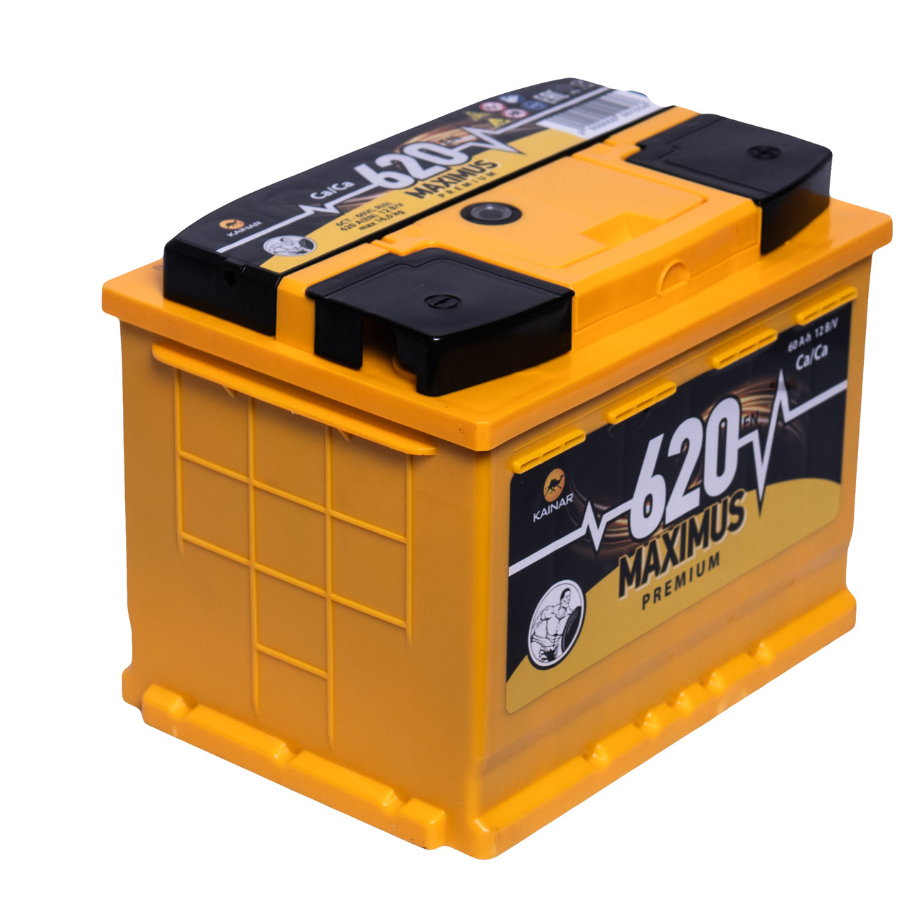 Акумулятор автомобільний 60Аг (-/+) MAXIMUS АКБ 242x175x190, фото 1