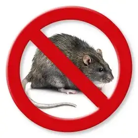 Родентициди