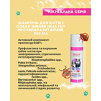 Шампунь для котів і собак Ginger Healthy Протипаразитарний з пропоксуром, 250 мл, фото 2