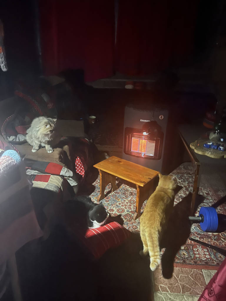 Газовий обігрівач KAMINER 4200 Вт з редуктором і шлангом, 60 м² 26157 - фото покупців 2