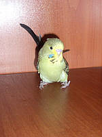 Наші Виставкові папуги ЧЕХІ. 18