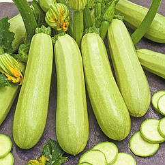 Кабачок Чаклун Яскрава 20 г