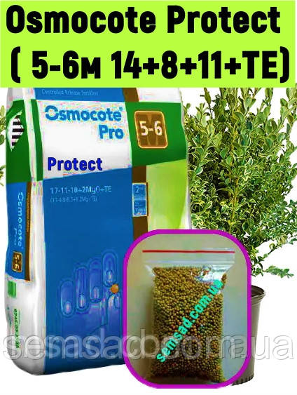 Osmocote Декоративні та вічнозелені чагарники \ 100г