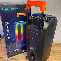 Колонка Bluetooth Wireless Speaker TTD-2821, фото 4