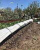 Парник 10 м 60 щільність теплиці з агроволокна Shadow( парник для огірків), фото 8