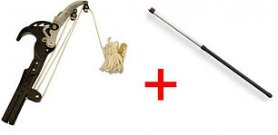 Висоторізи