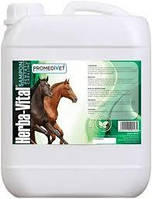 Шампунь для коней Herba Vital Horse Shampoo - 1л