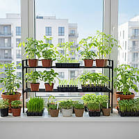 Дворівнева підставка для квітів на підвіконня Lucia Black 2 level. Полички для розсади, горщиків та зелені