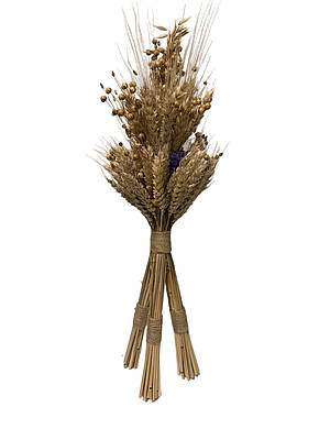 Сушений сніп Дідух 45 см із колосків на різдвяний стіл / Український оберіг для дому на Різдво