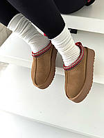 Tasman Camel Platform