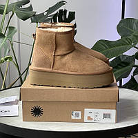 Ugg Mini Platform Chestnut