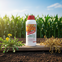 Гербіцид Раундап 1 л (гліфосат 360 г/л) — системний неселективний засіб для суцільного контролю бур’янів