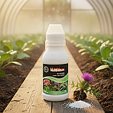 Гербіцид Напалм 100 мл — системна суцільна дія на гліфосаті 480 г/л, фото 4