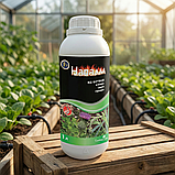 Гербіцид Напалм 1 л — системна суцільна дія на основі гліфосату 480 г/л, фото 2