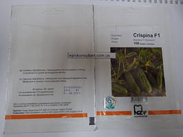 Насіння огірка Кріспіна F1 (Nunhems/АГРОПАК+), 100 насінин - партенокарпік, ранній гібрид (38-40 днів)