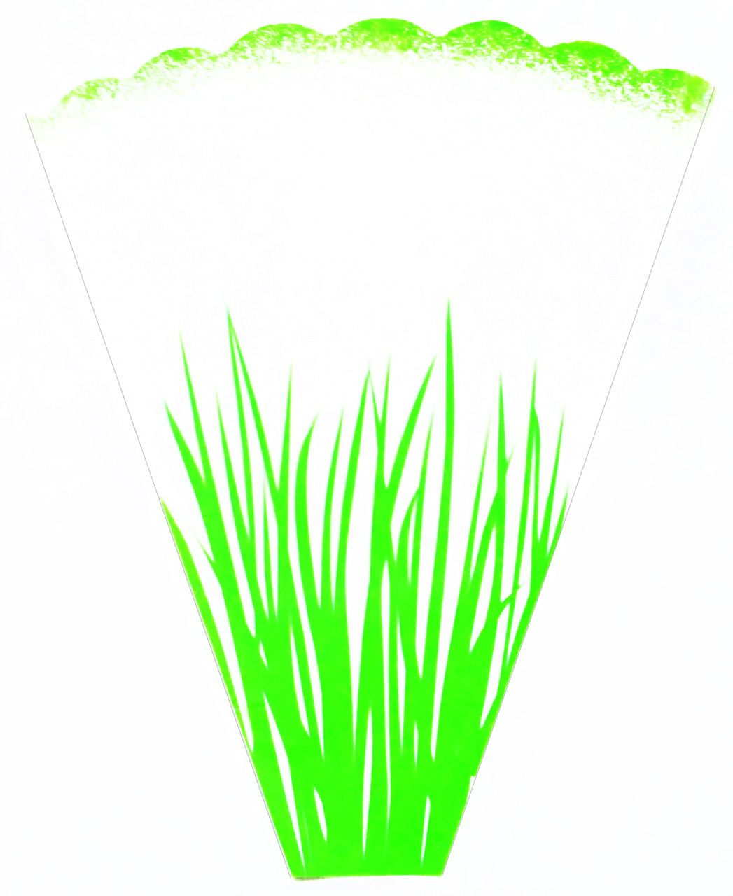 Пакети для квітів №39 (9х40х50 см), фото 1