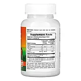 Витамин С Д3 Nature's Way Kids Vit C Chewable - 90 tabs, фото 2