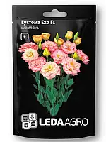 ЕУСТОМА  НАСІННЯ ЕХО F1, ШАМПАНЬ 5 ШТ