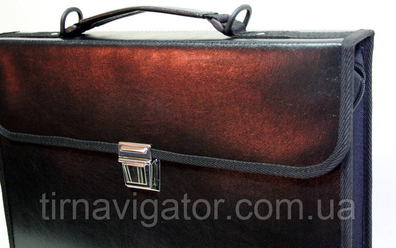 Сумка шкіряна вінілова ЧИСТА (Польша), фото 1