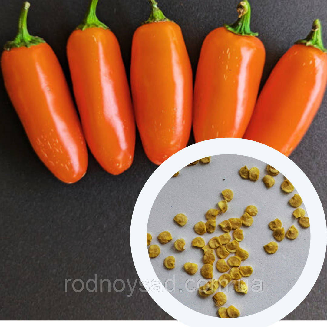 Перець гострий Jalapeno Orange насіння (5 шт) помаранчевий Халапеньйо до 8 000 SHU, фото 1