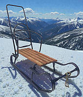 Санки дитячі Комфорт трансформери з батьківською ручкою штовхачем Україна Харків