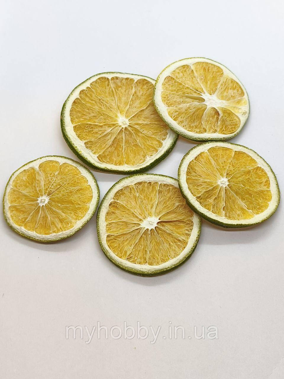 Сушені дольки апельсину зелені -2шт   (розмір різний від 4см до 6см -мікс), фото 1