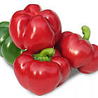 Перець солодкий Біхар F1 Lark Seeds/США 8 шт, фото 2