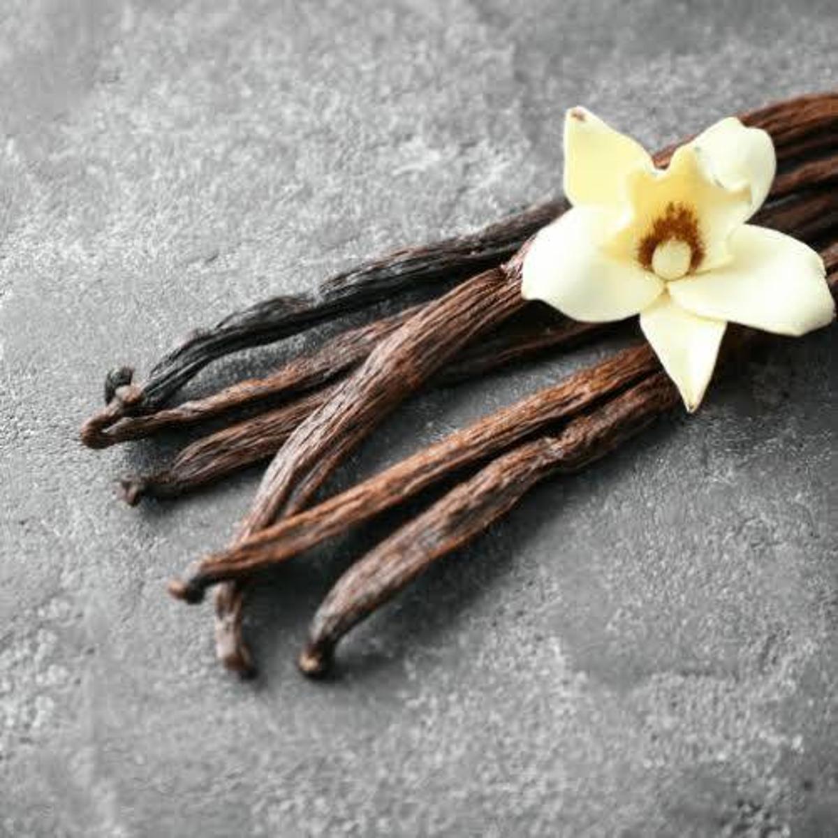 Стручок ванілі Бурбон 16-18см 1шт, фото 1