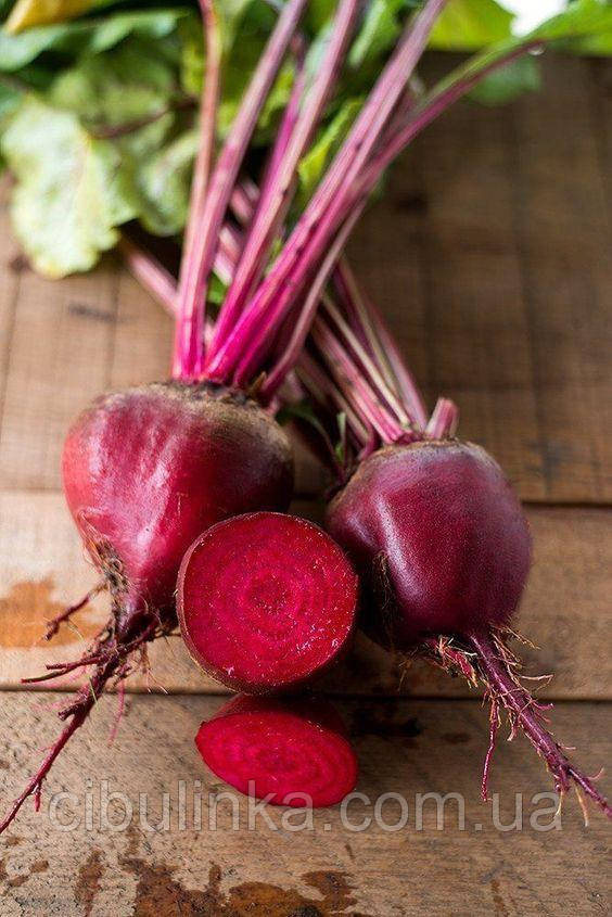 Буряк столовий Ред Бул (оброблений) Польша 20 г, фото 1