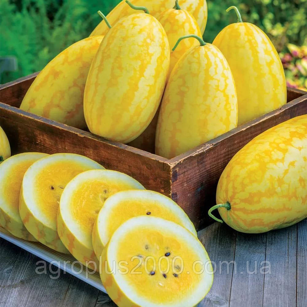 Насіння Кавун  Жако F1 (PL 6003 F1), 100 насінин Asia Seed