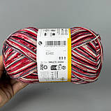 Регія 02455, фото 2