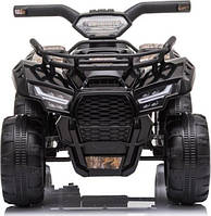 Квадроцикли та баггі на акумуляторі