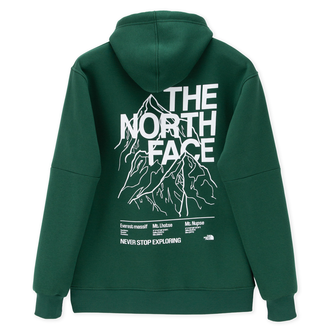 Худі The North Face зелений тепла м’яка якісна на флісі з начосом, фото 1
