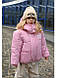 Тепла зимова куртка на дівчинку 104, 110, 116, 122, 128, 134, фото 4