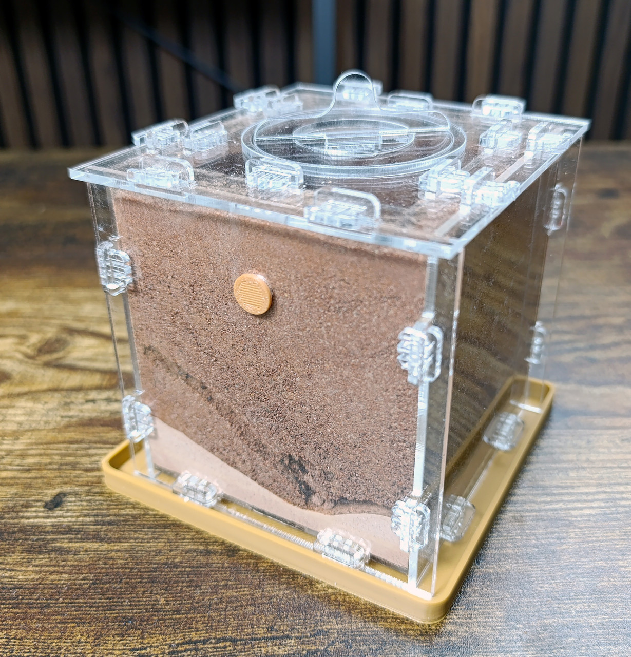 Повний комлект : пісочна мурашина ферма + мурахи, фото 1