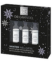 Зимові ампули для живлення сухої шкіри Dr. Grandel, 3×3 мл