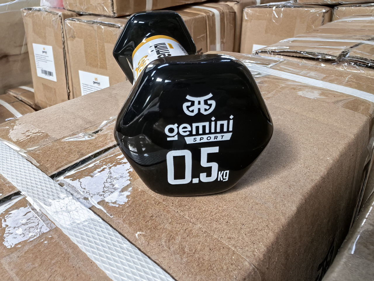 Гантелі вінілові Gemini Sport 2 шт. по 0.5 кг (для фітнесу, аеробіки, пілатесу), фото 1